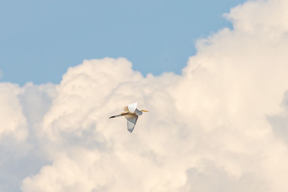 Photograph by Юлия Яковлева