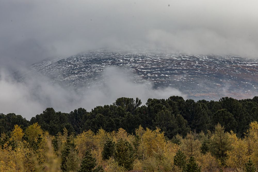 Photograph by Юлия Яковлева