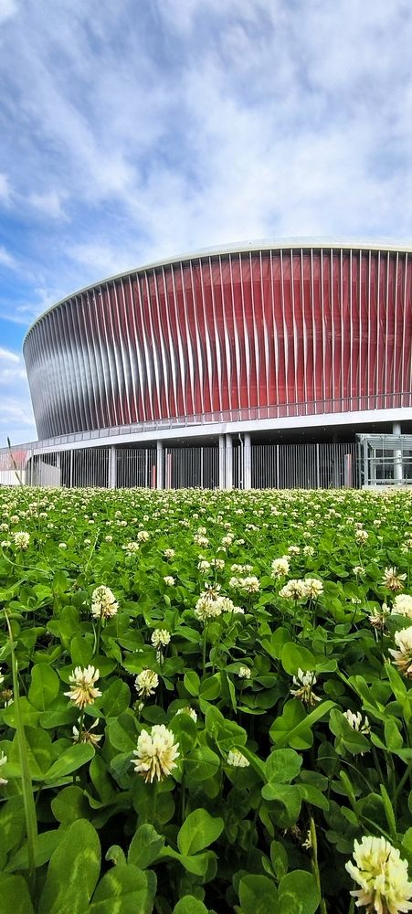 Фотография автора Дмитрий Сугако