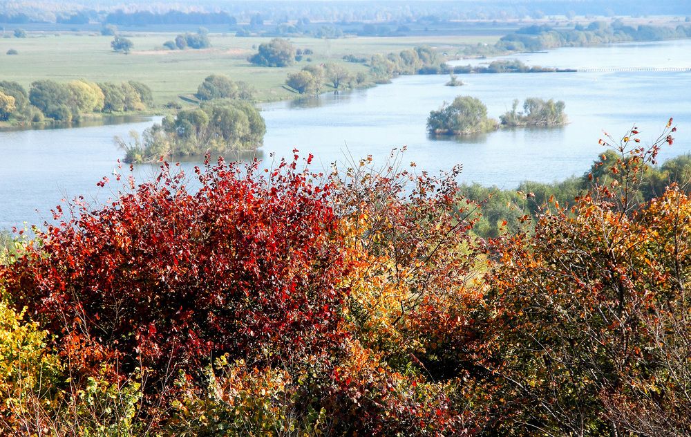 Photograph by Вячеслав Лычков