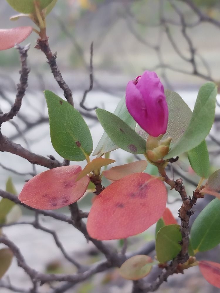 Photograph by Юлия Фирман