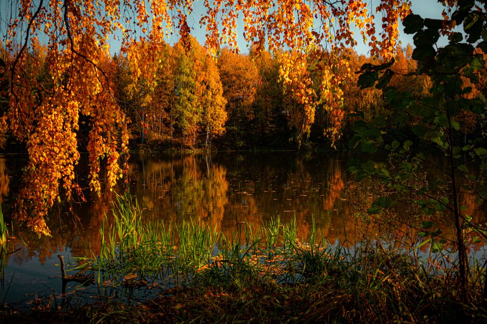 Photograph by Елена Ефимова