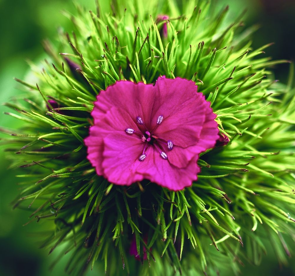 Photograph by Дмитрий Поварков