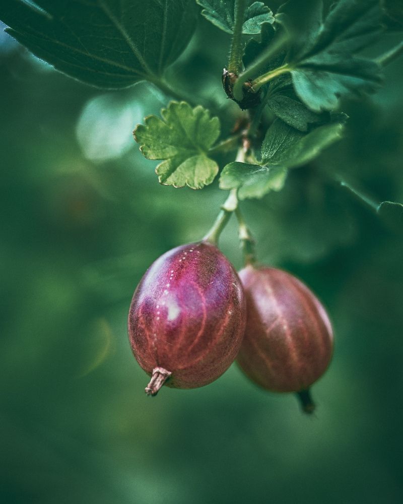 Photograph by Дмитрий Поварков