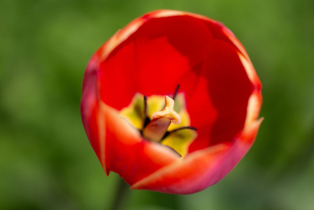 Photograph by Denis Phominov