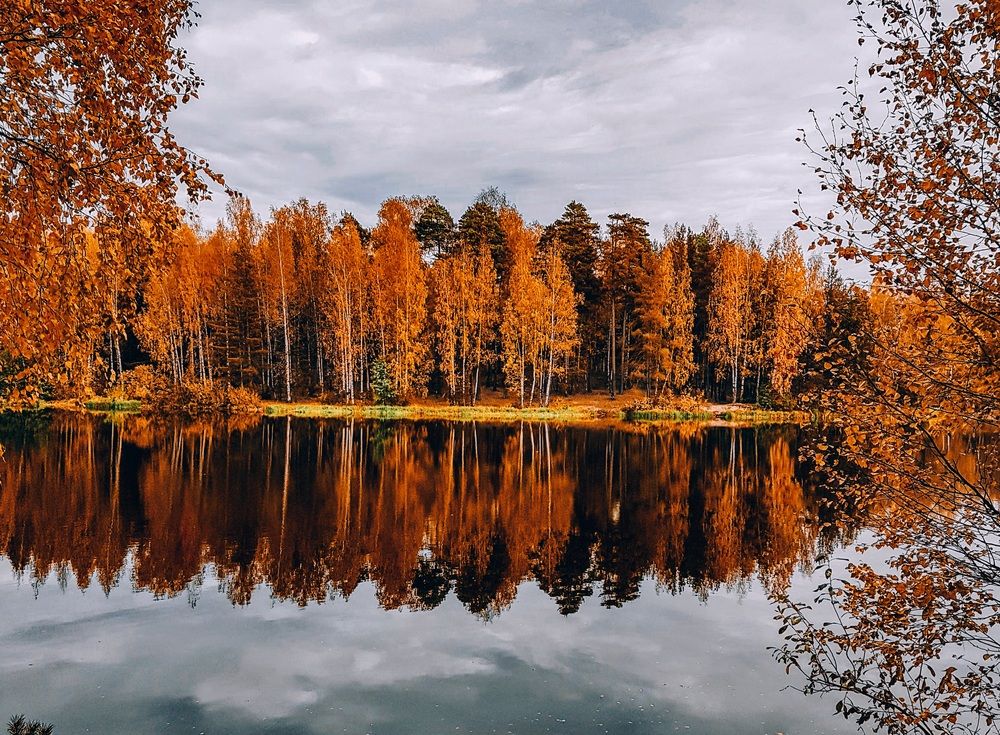 Photograph by Елена Ефимова