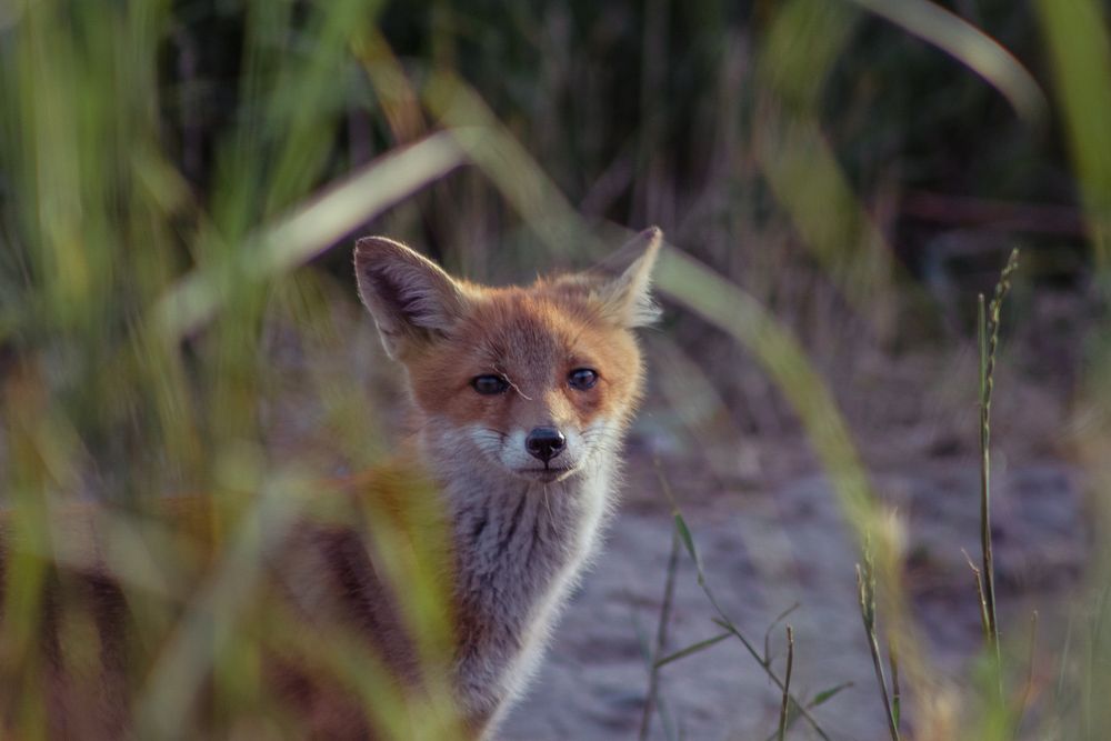 Photograph by Victoria Mogulyan