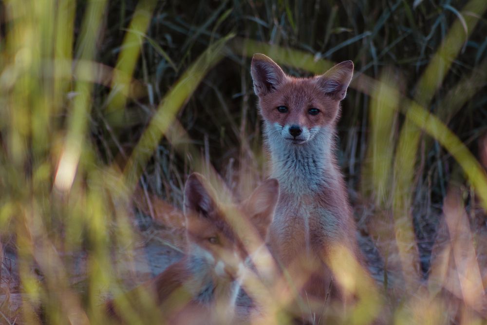 Photograph by Victoria Mogulyan