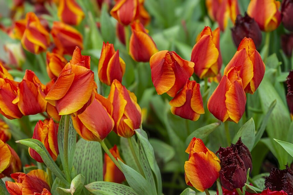 Photograph by Александр П