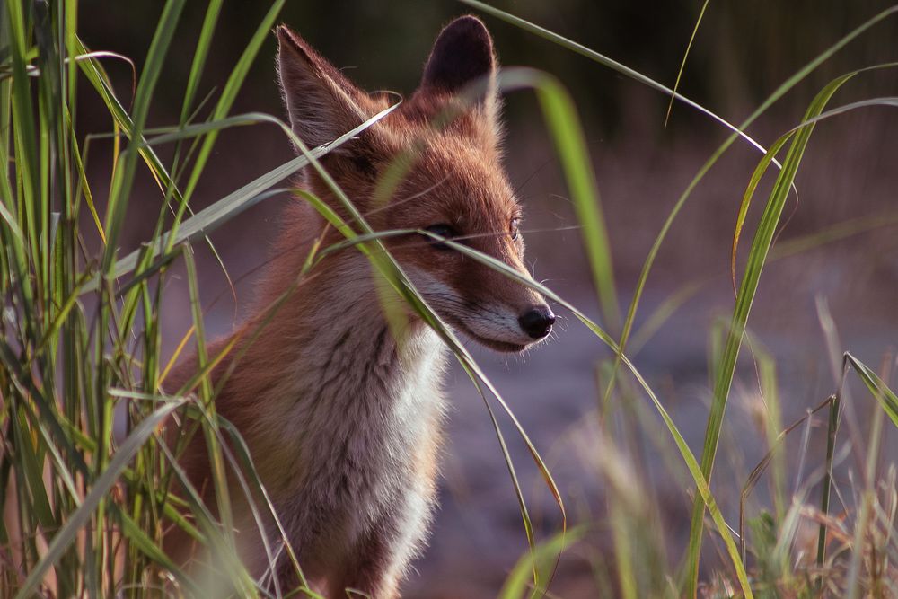 Photograph by Victoria Mogulyan