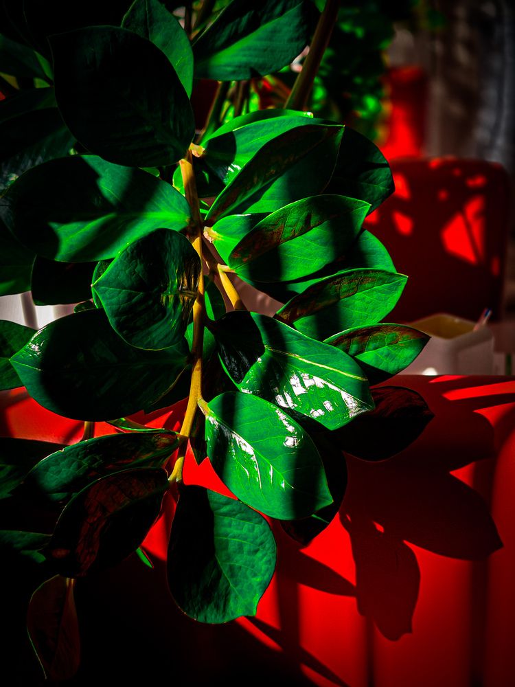 Photograph by Игорь Урывский