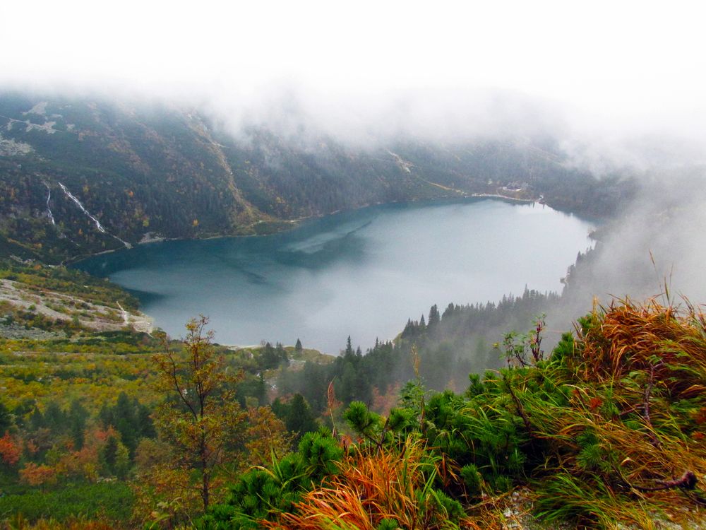 Photo #12755549