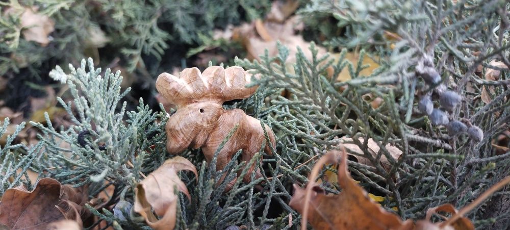 Photograph by Дарина Макарова