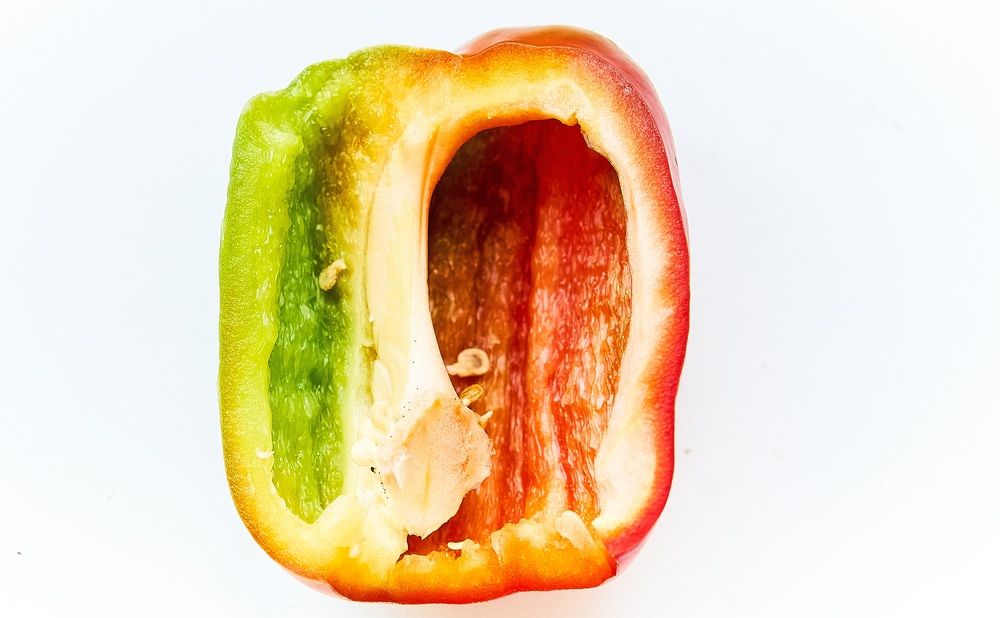 Photograph by Михаил Шевцов