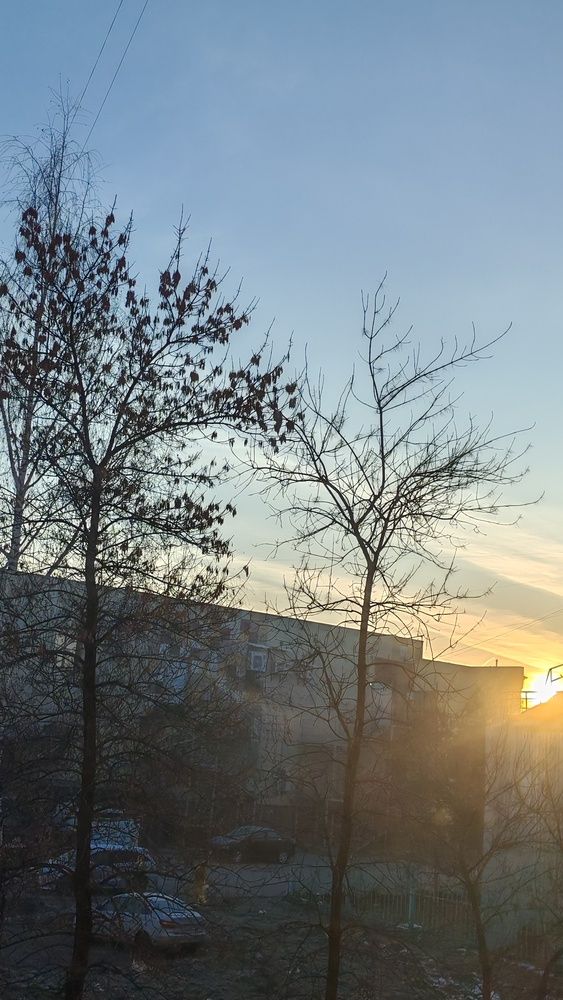 Фотография автора Наталья Шендяпина