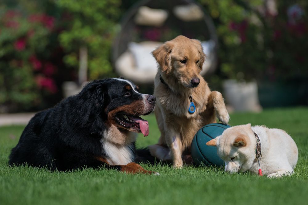 Photograph by Демьян Лопатов