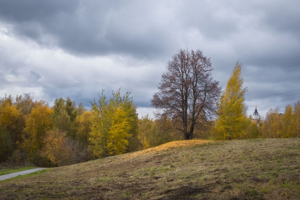 Photograph by Олег Дорошенко
