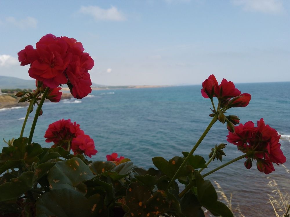 Фотография автора Liliya Slavcheva