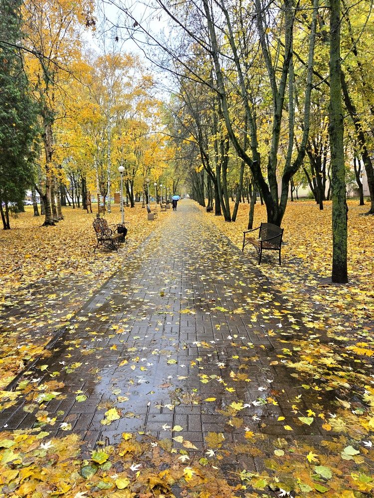 Фотография автора Elena Polonetskaya