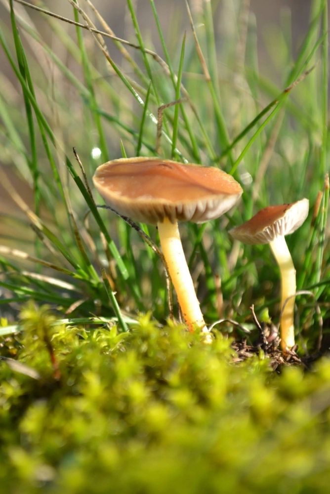 Photograph by Елена Дубовикова