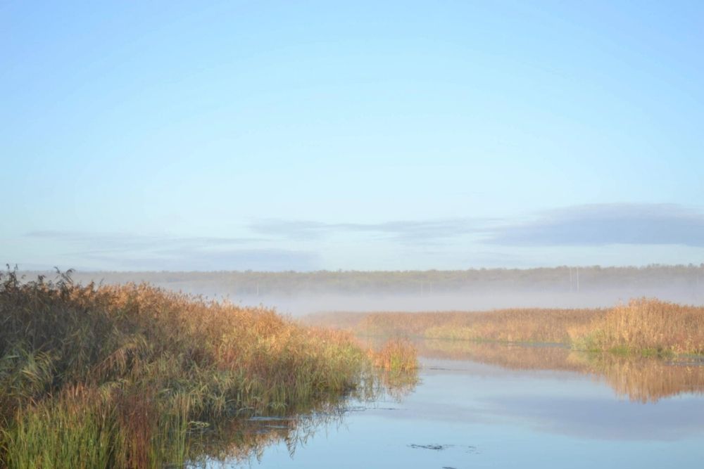 Туман над рекой.
