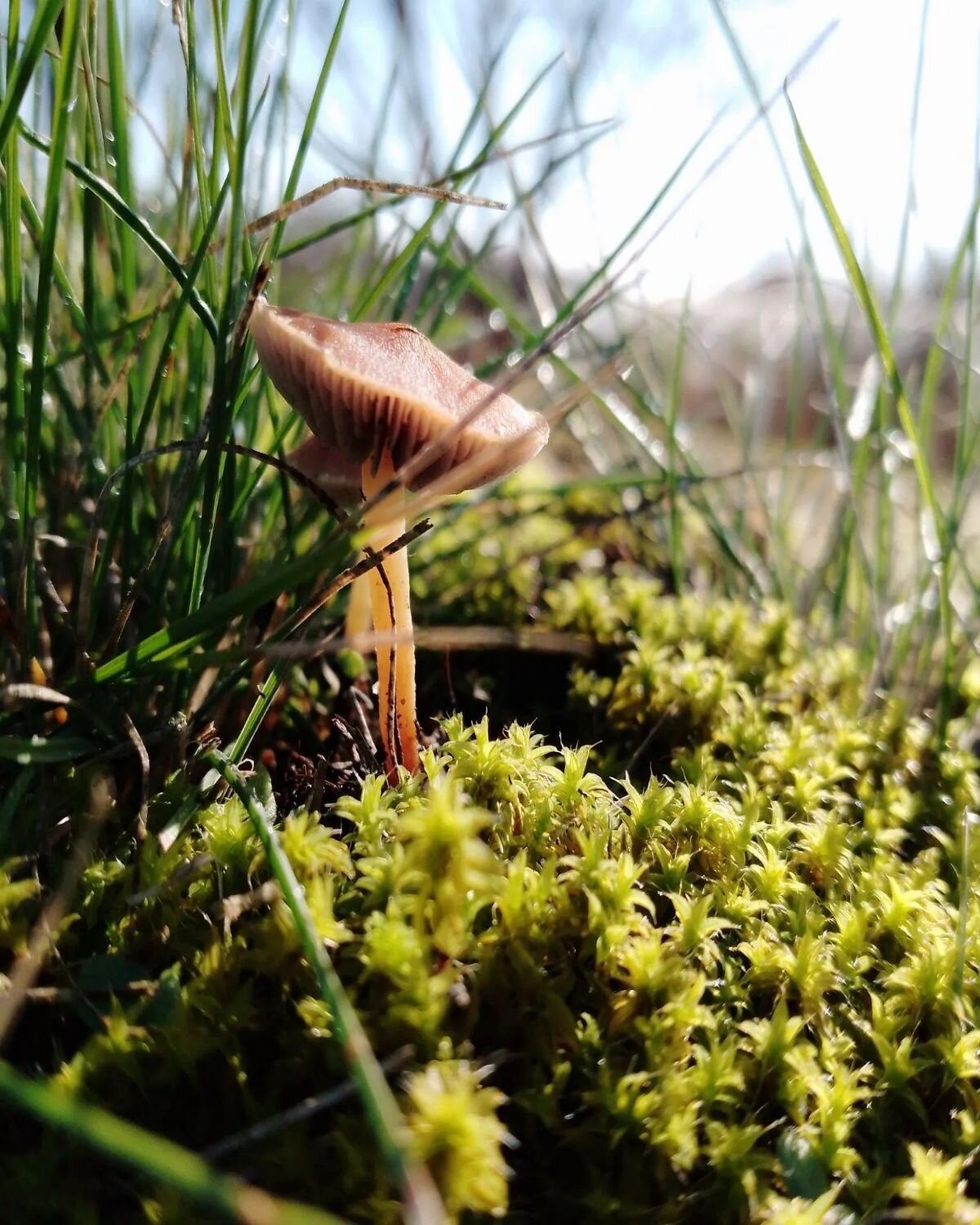 Photo #12755769