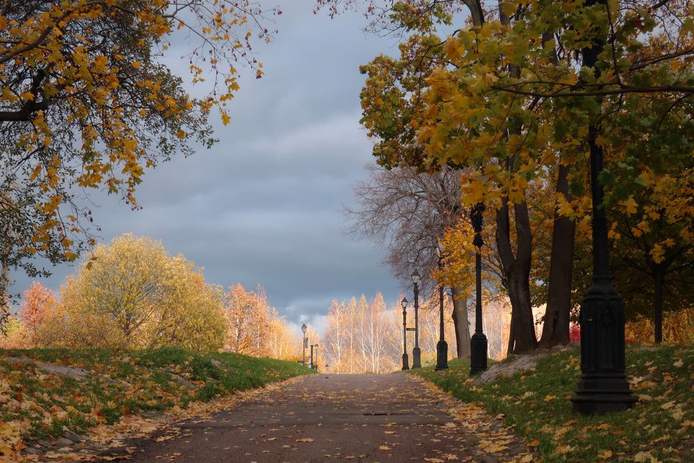 Photograph by Ольга Стоун