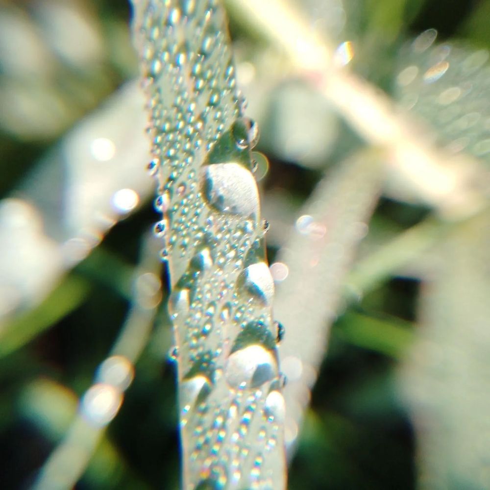 Photograph by Елена Дубовикова