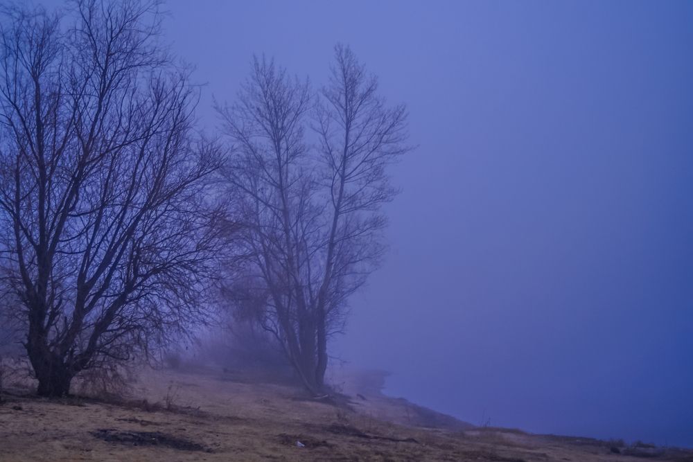 Photograph by Юрий Остапенко