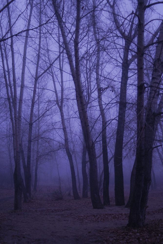 Photograph by Юрий Остапенко