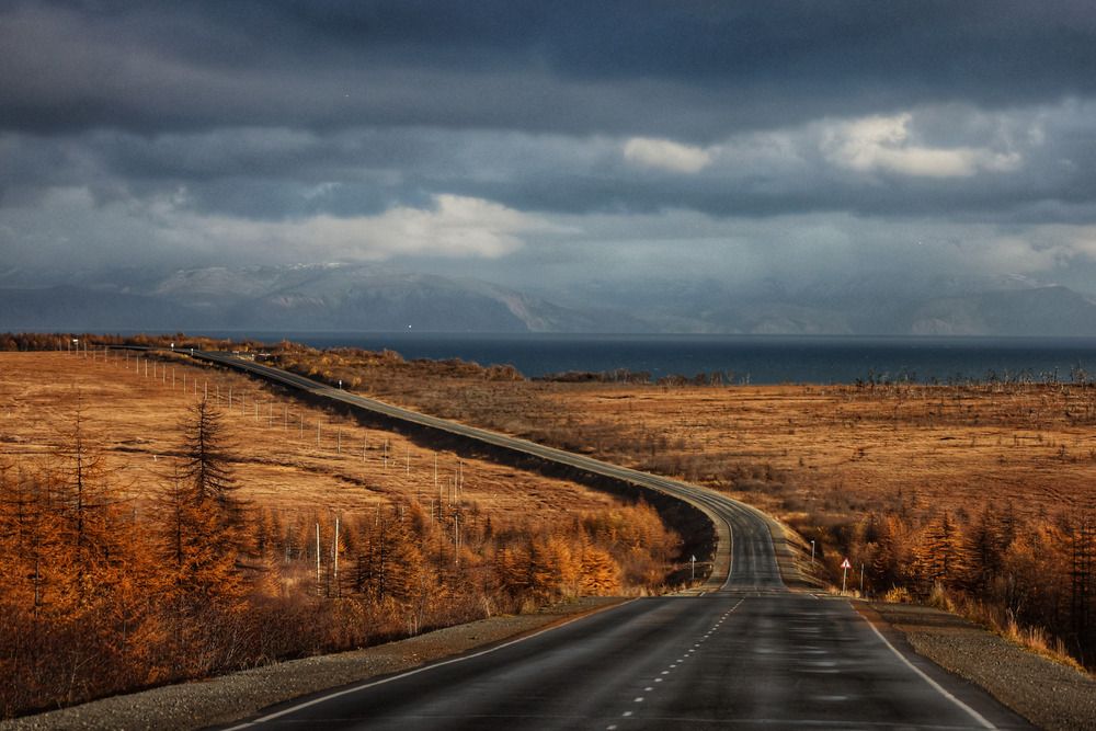 Дорога в осень