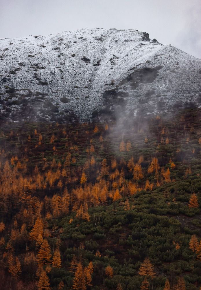 Осень не уступает