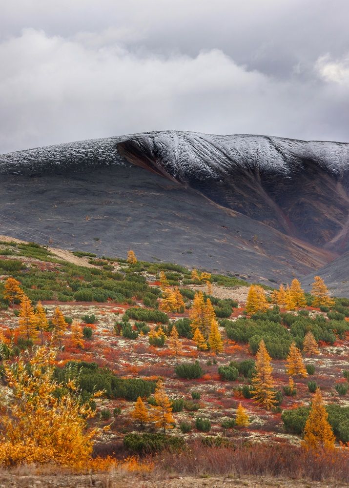 Дыхание зимы