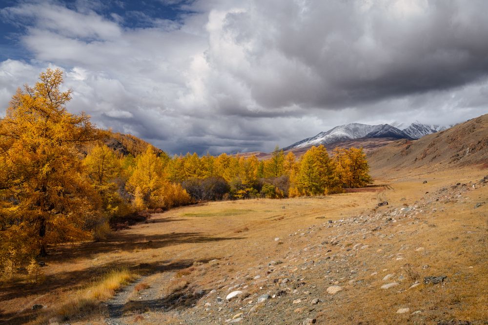 Photograph by Леонтьев Константин