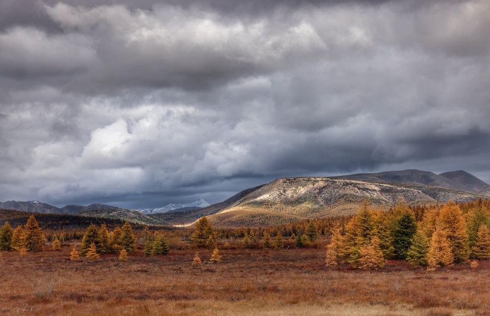 Фотография автора Юлия Егорова