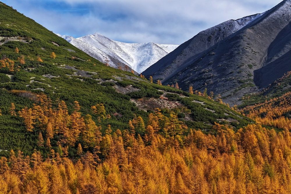 Фотография автора Юлия Егорова