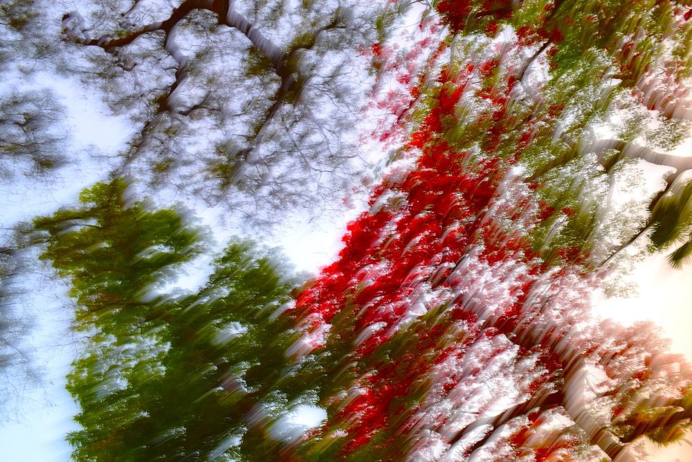 Photograph by shashiranjan prakash