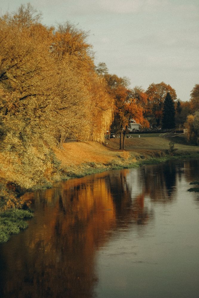 Фотография автора Алиса Исаева