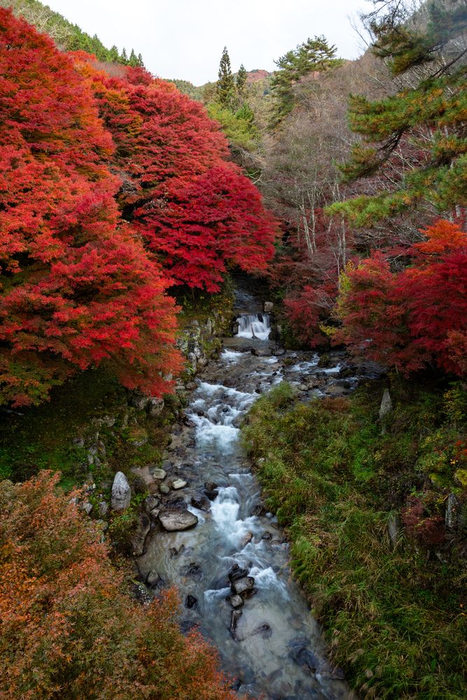 Photograph by kurodon