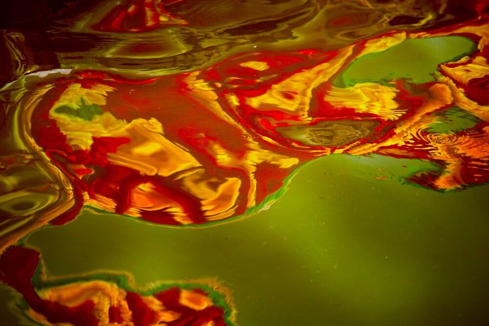 Photograph by shashiranjan prakash