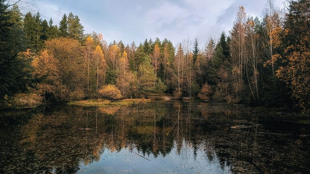 Photograph by Leanid Kulpo