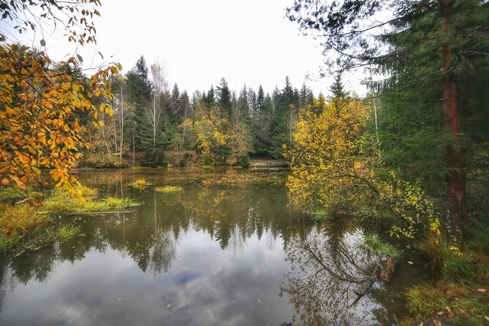 Photograph by Leanid Kulpo