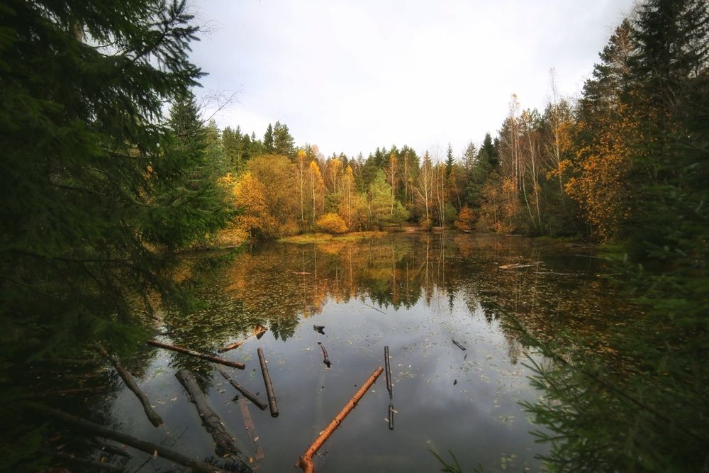 Photograph by Leanid Kulpo