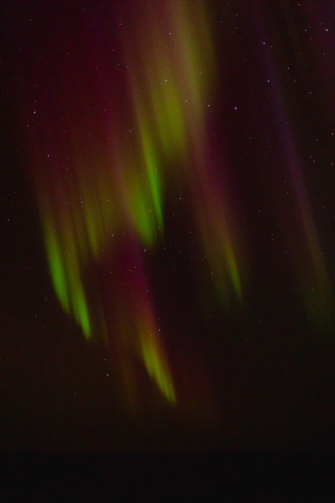 Photograph by Александр Перегоненко