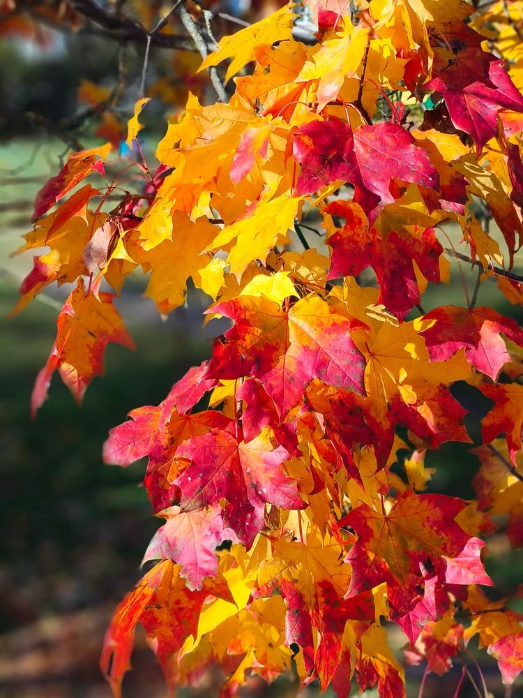 Photograph by Владимир Лобанов