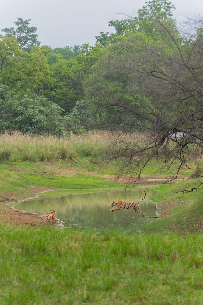 Photograph by Amol Manohar