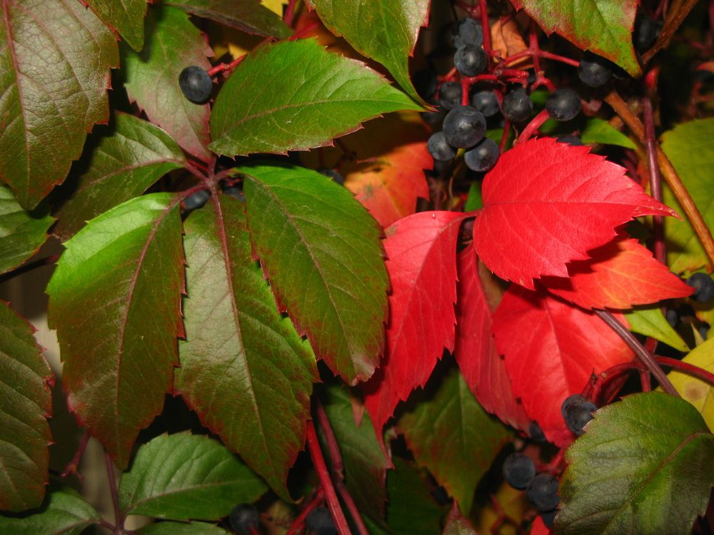 Photograph by Тимофей Петров