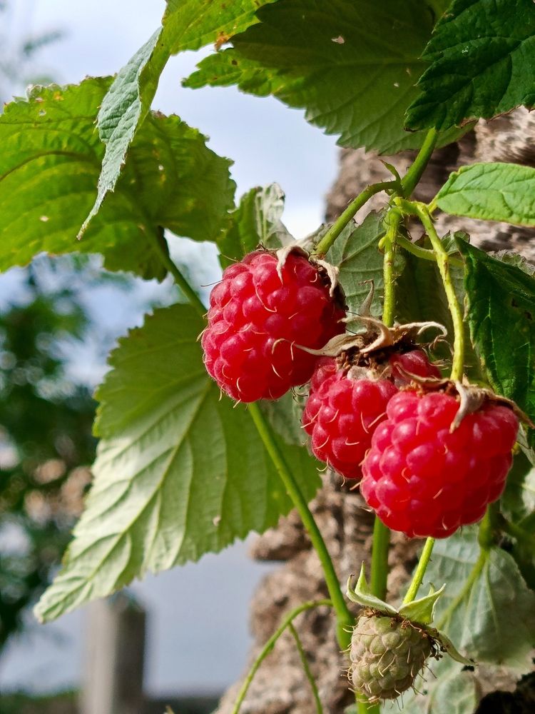 Photograph by Татьяна Бешенкина