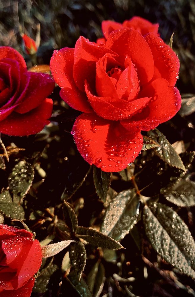 Photograph by Марина Козлова