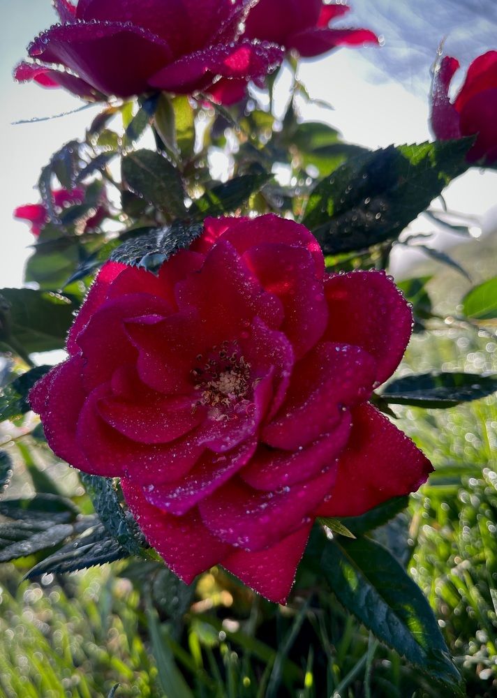 Photograph by Марина Козлова